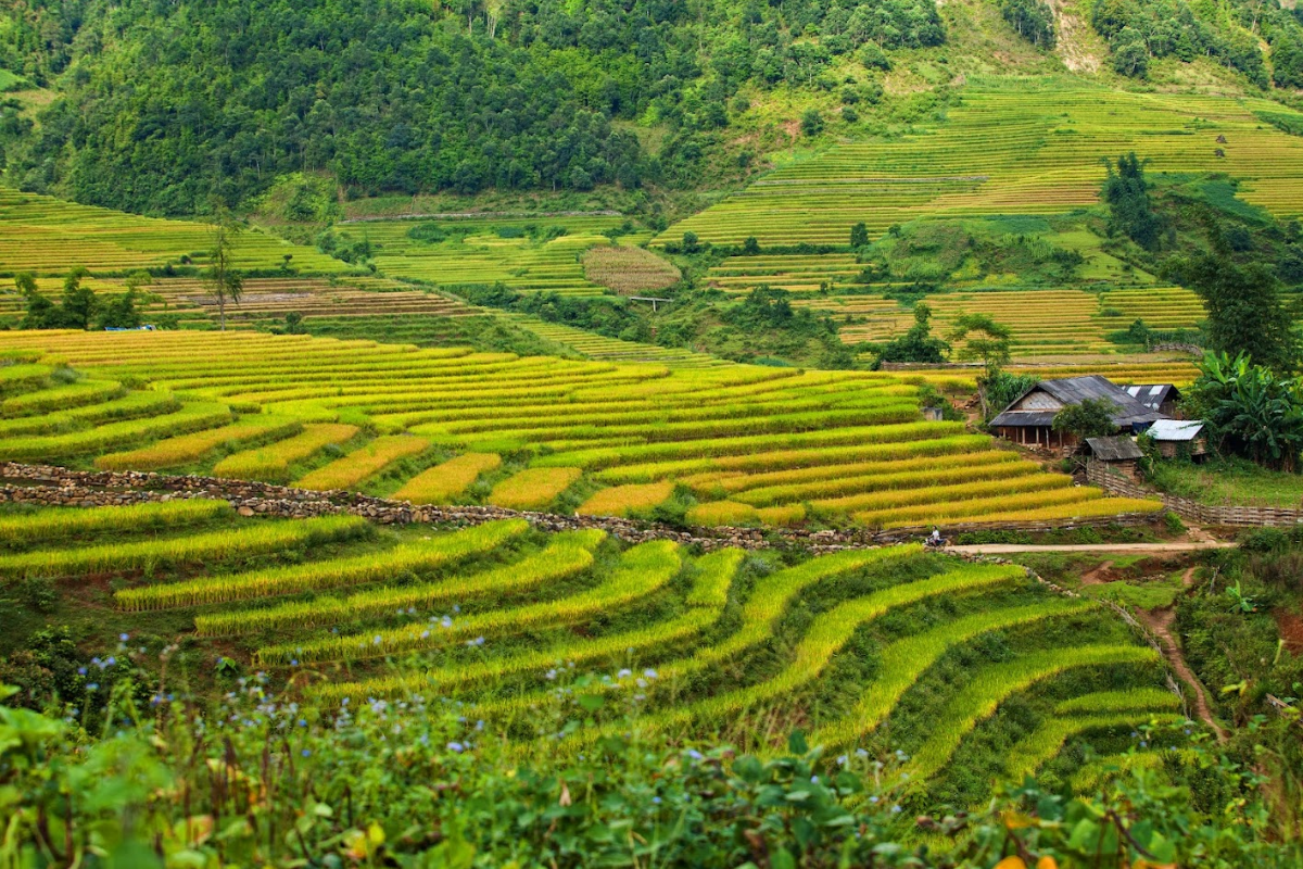Mai Chau, Hoa Binh